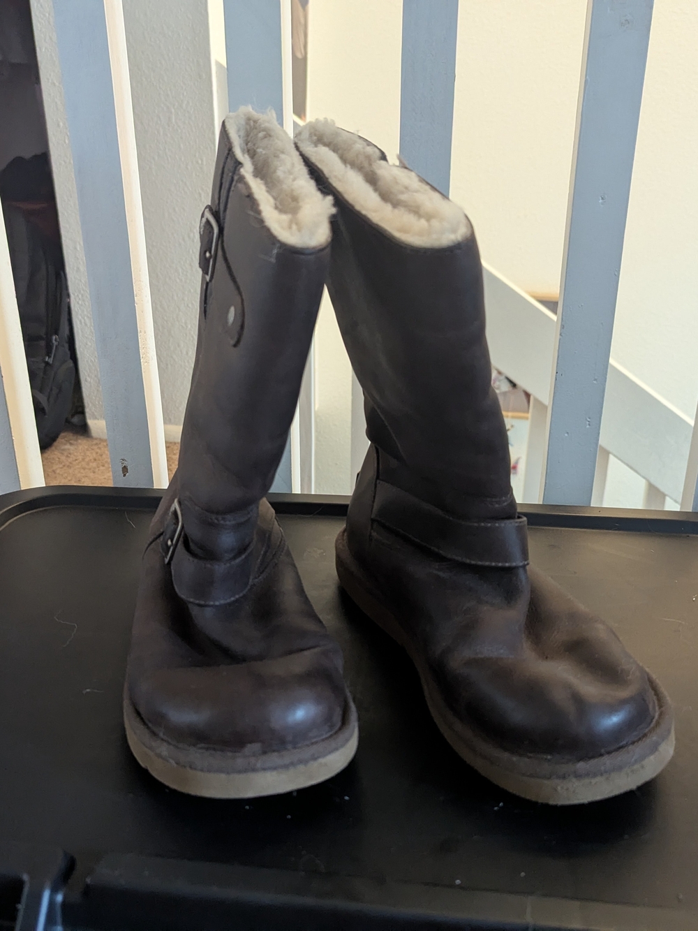 UGG Cream Shearling-Lined Boot Interior